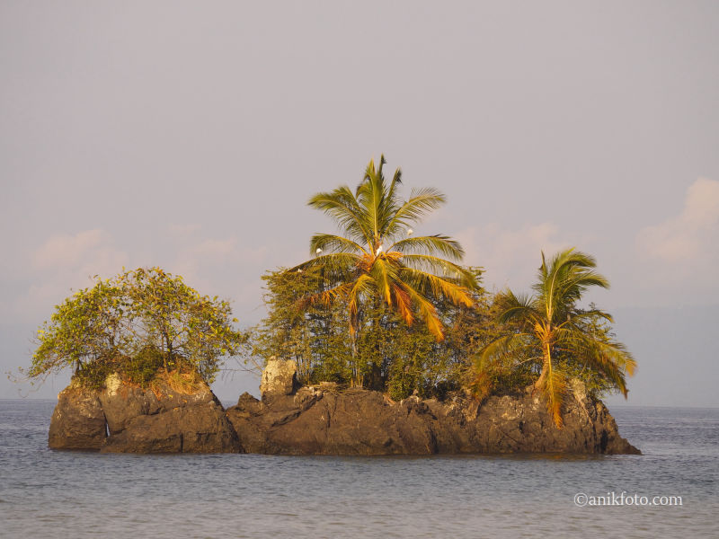 Paysage du Choco - Colombie