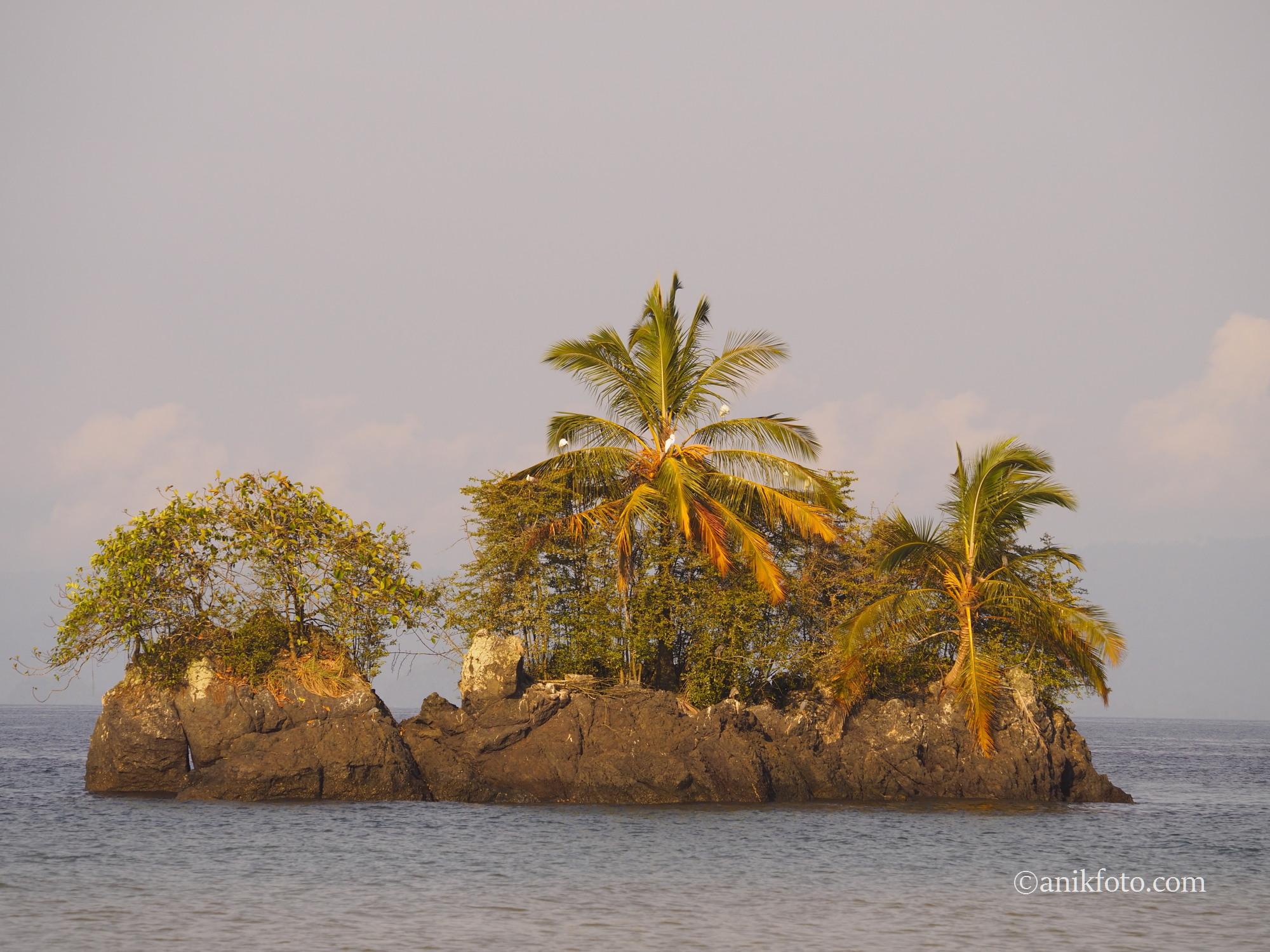 Paysage du Choco - Colombie