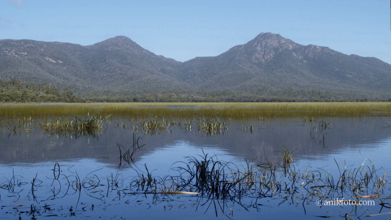 Freycinet park - Tasmanie