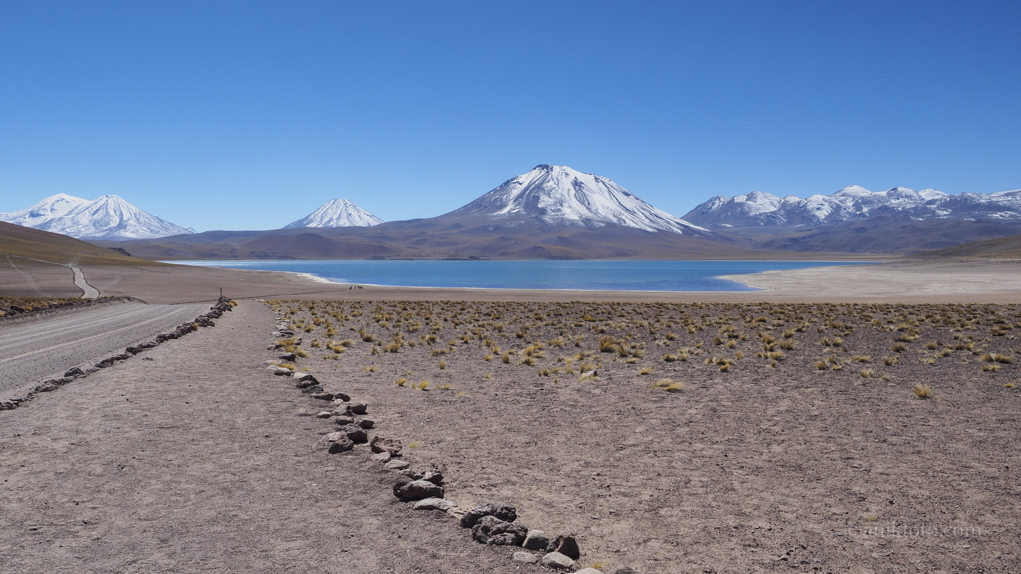 Laguna Miscanti - 4140m - Chili