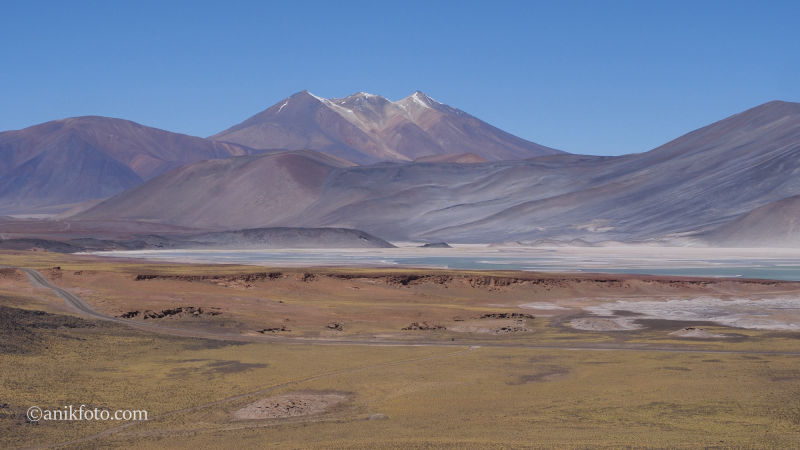 Salar de Talar - Acatama - Chili