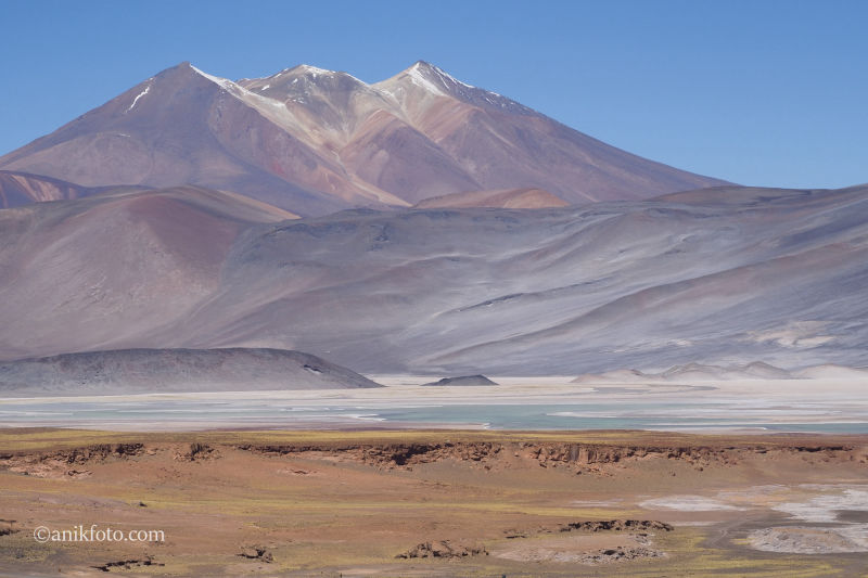 Salar de Talar - Acatama - Chili