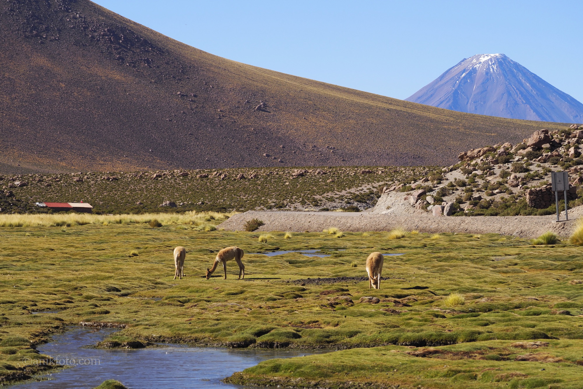Atacama - volcan Licancabur - Chili