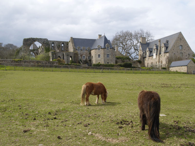 Abbaye de Beauport - Côtes d' Armor - Bretagne