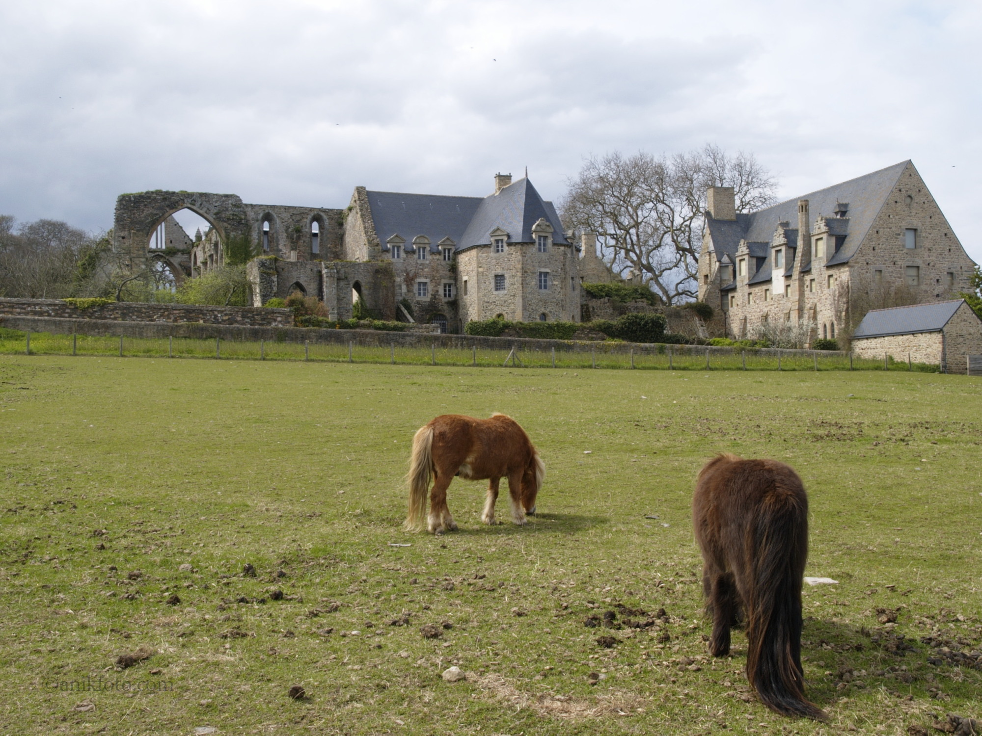 Abbaye de Beauport - Côtes d' Armor - Bretagne