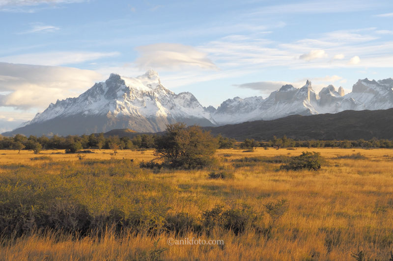 Torres del Paine - Patagonie - Chili