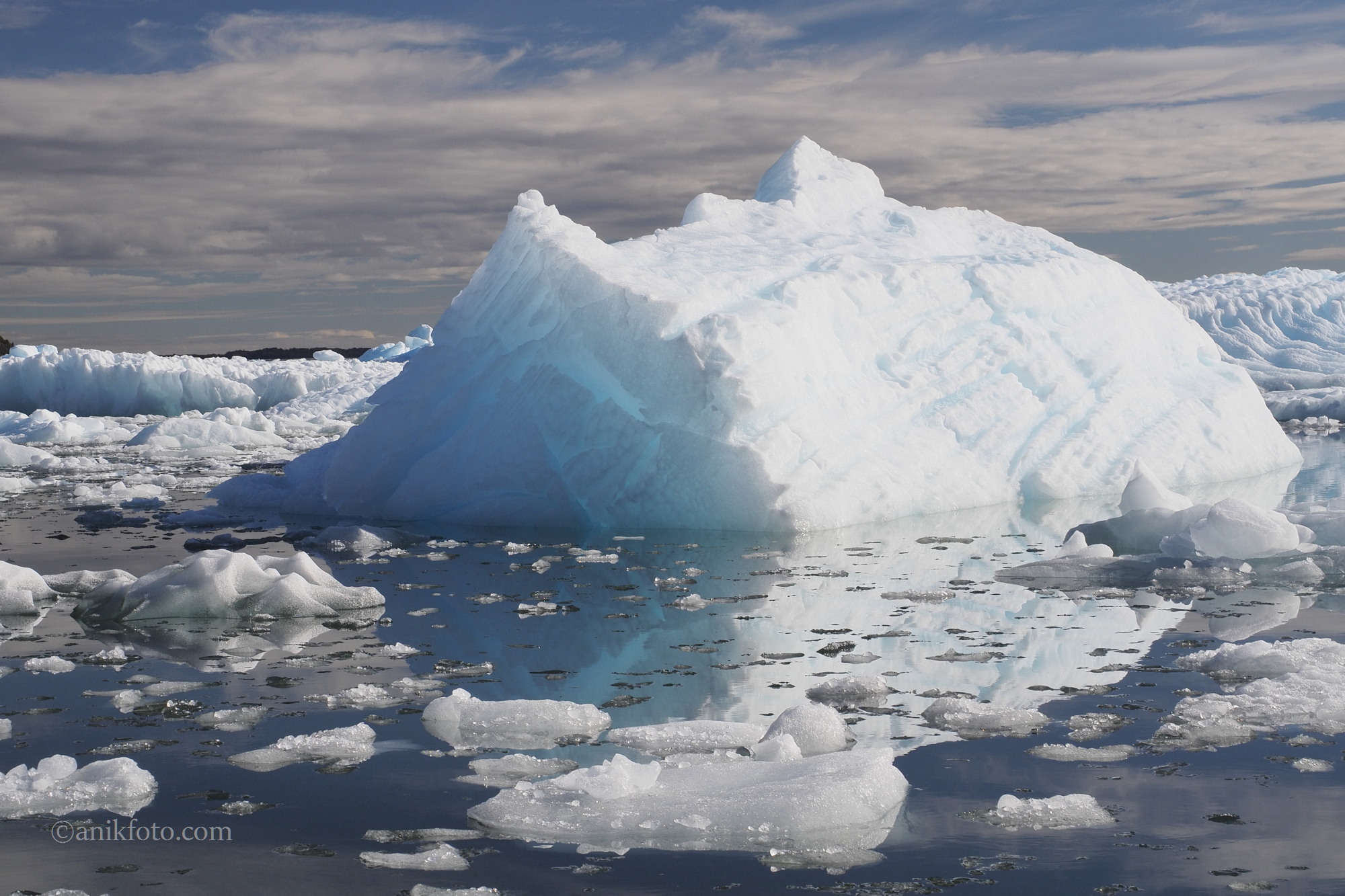 Autour du glacier San Rafael - Patagonie - Chili
