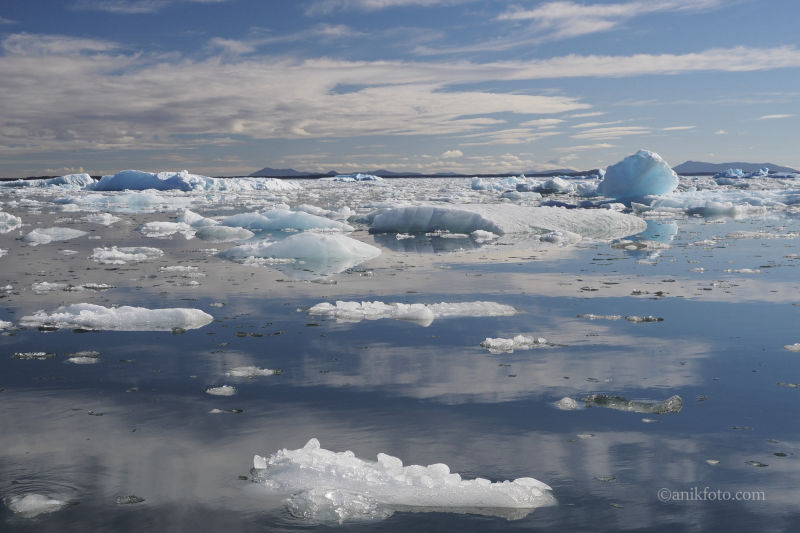 Autour du glacier San Rafael - Patagonie - Chili