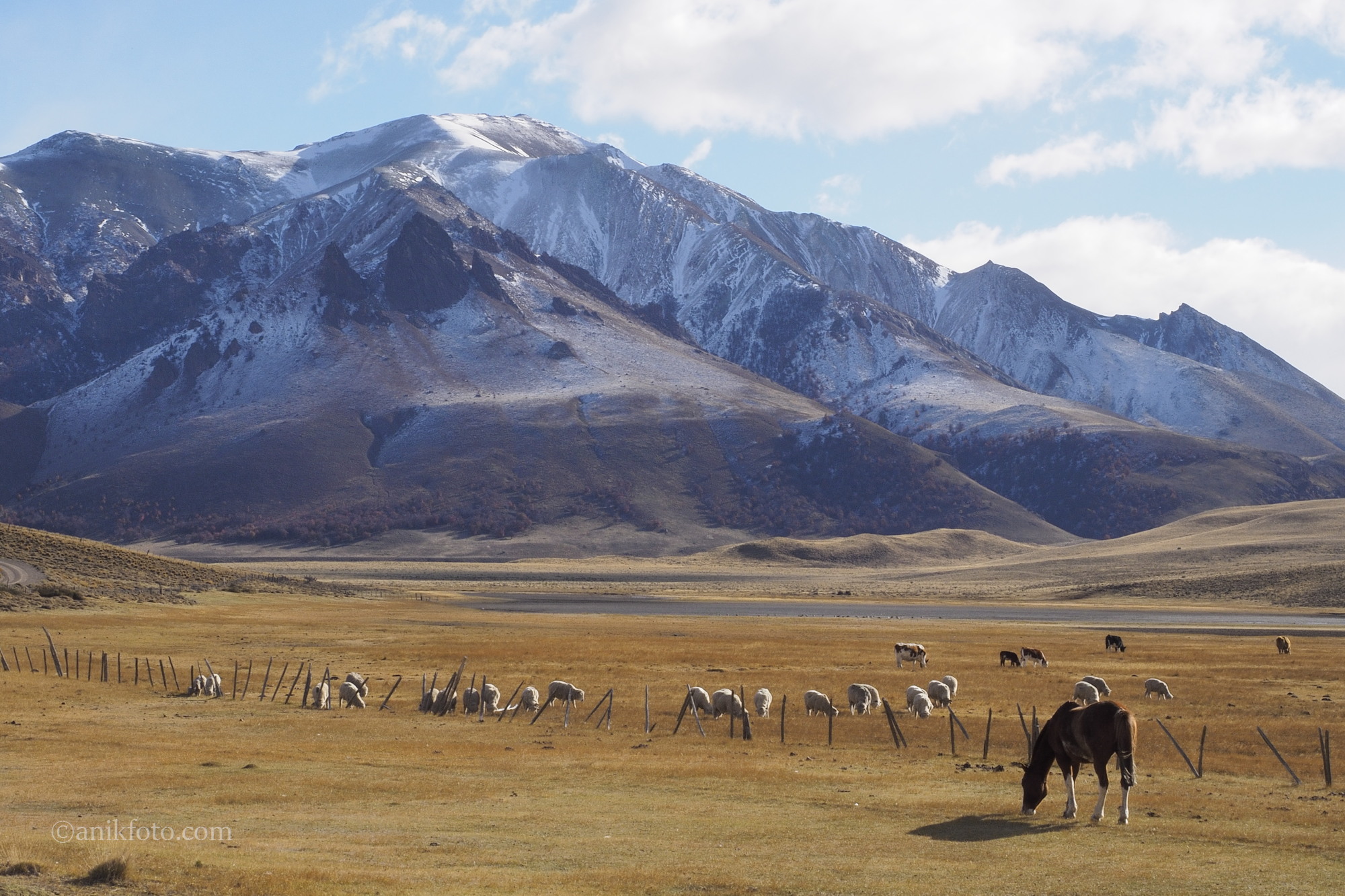 Parc National Lago Jeinimemi - Patagonie - Chili
