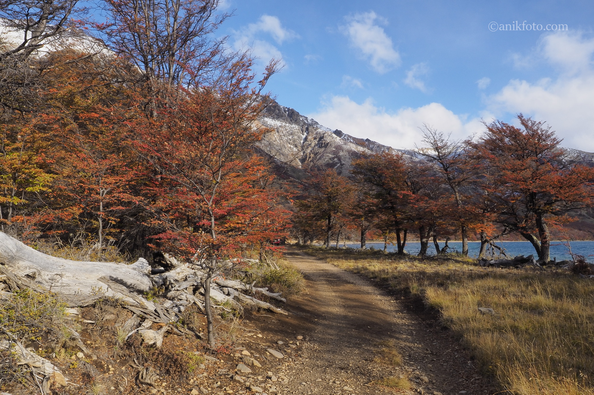 Parc National Lago Jeinimemi - Patagonie - Chili