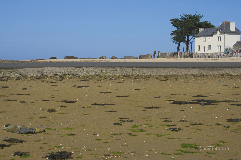 Carantec - Finistère - Bretagne