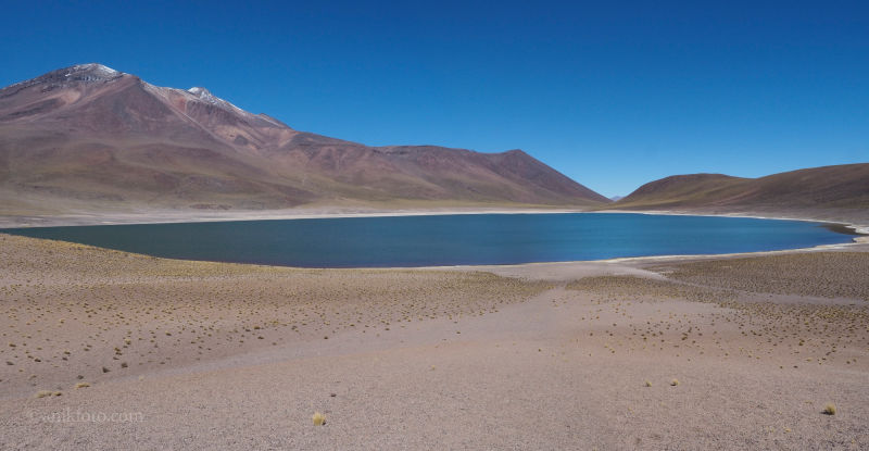 Laguna Miniques - Atacama - Chili