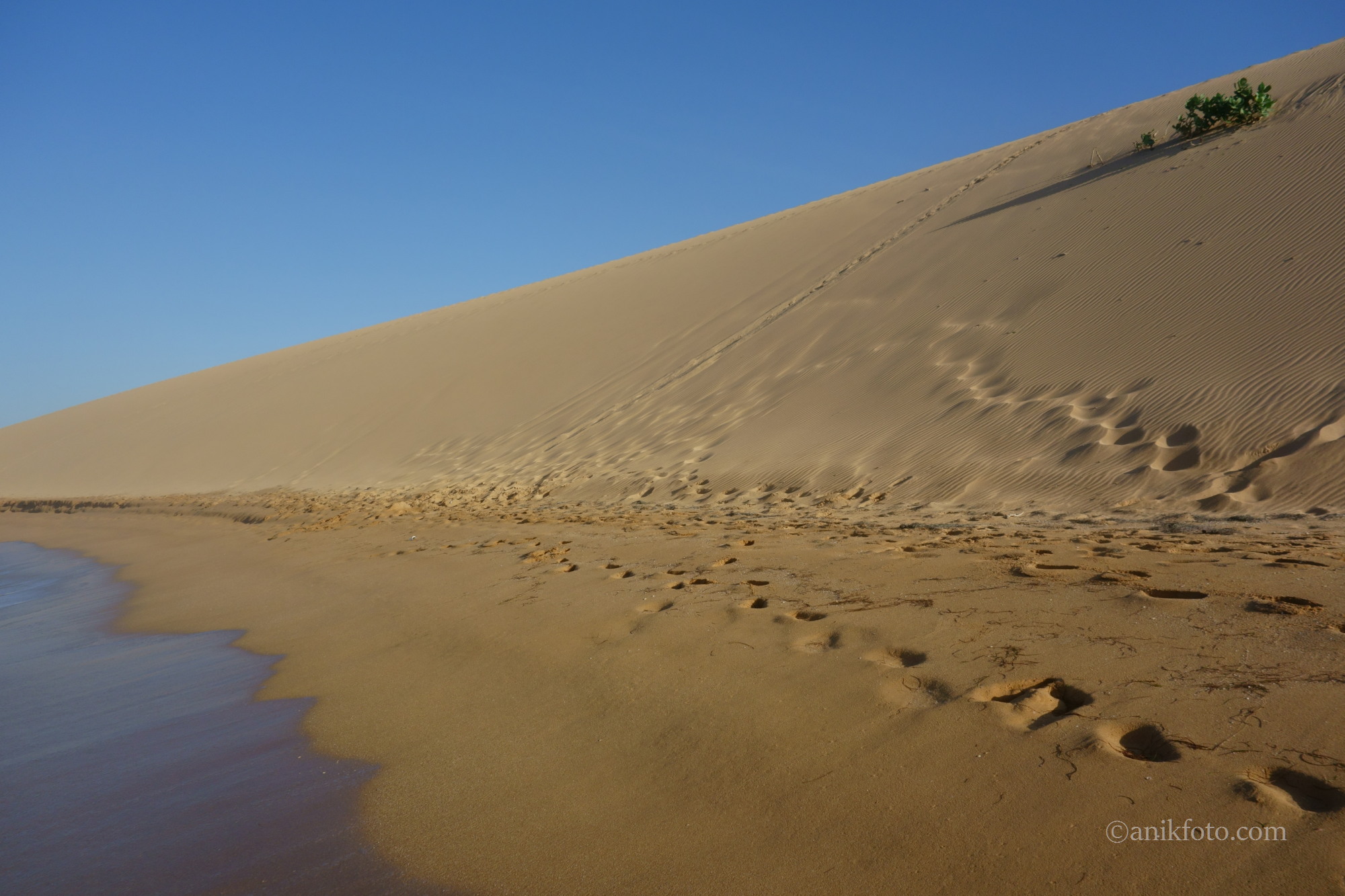 Dunes de Taroa - Péninsule de la Guajira - Colombie
