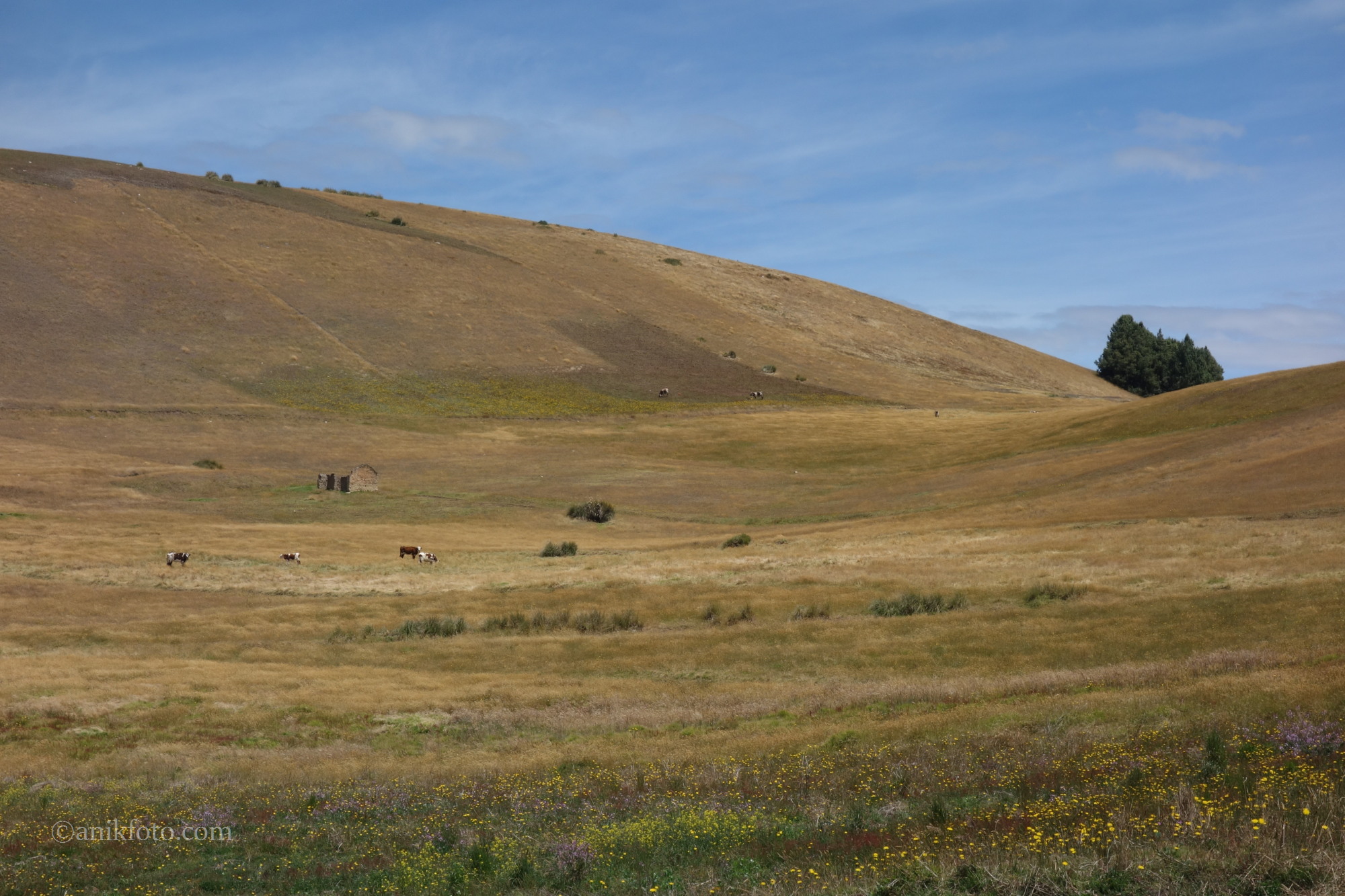 Autour du lago de Tota - Colombie