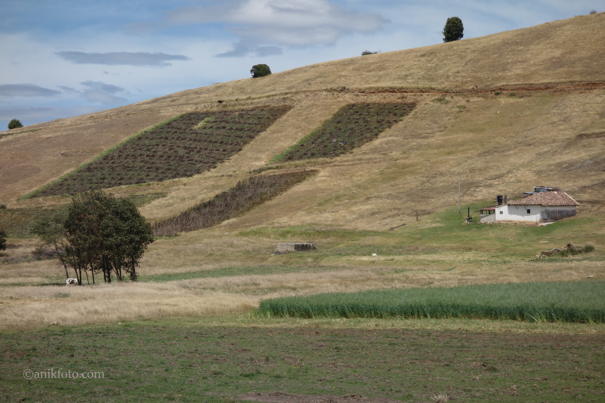 Autour du lago de Tota - Colombie