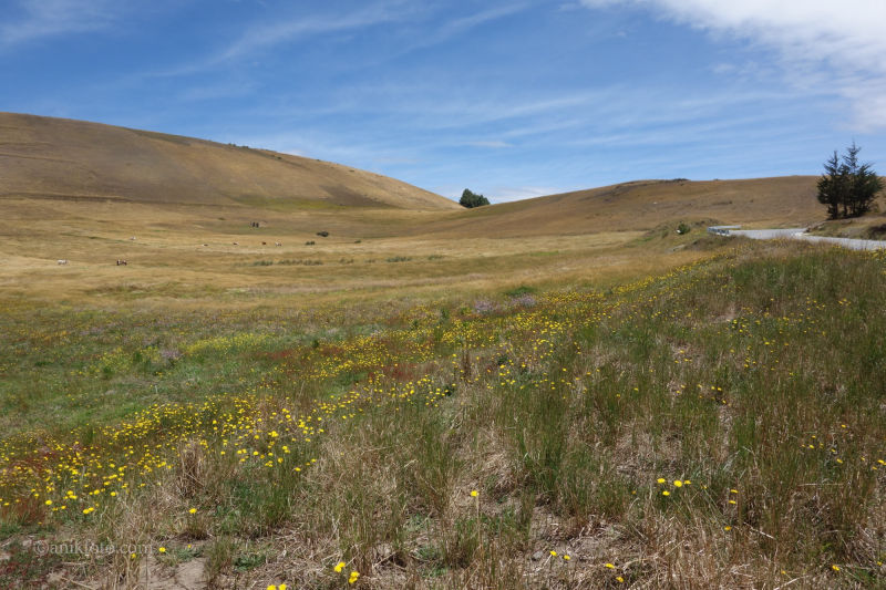 Autour du lago de Tota - Colombie