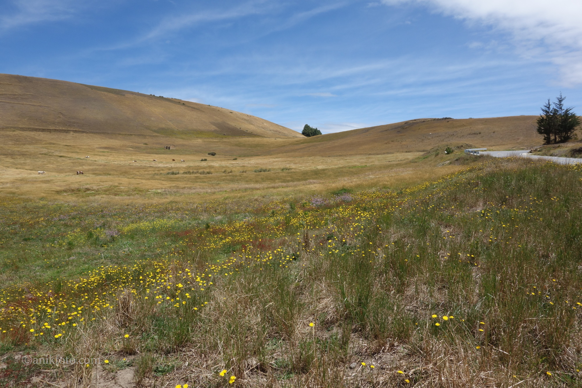 Autour du lago de Tota - Colombie